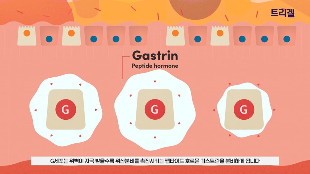 통증 없는 위트 약국